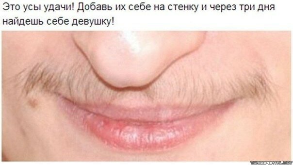 Это усы удачи! Добавь их к себе на стенку и через три дня ты найдешь девушку