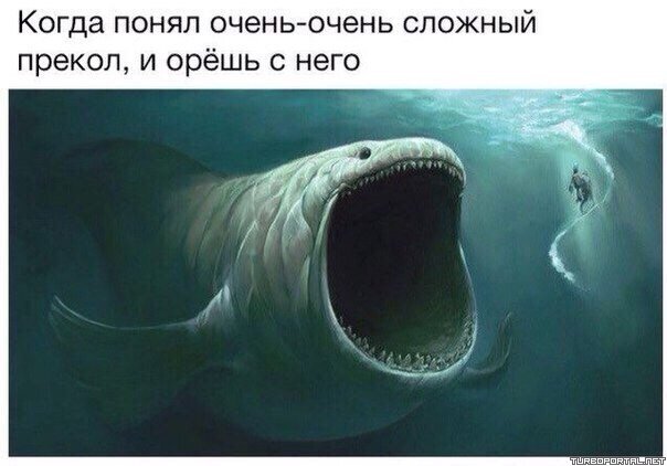 Когда понял очень-очень сложный прикол, и орешь с него