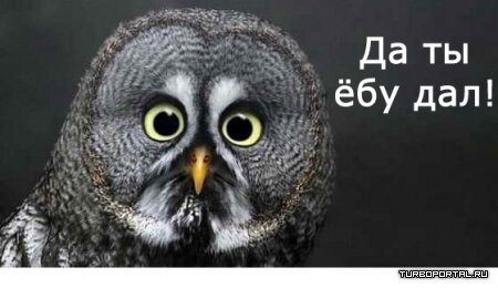 Да ты ёбу дал