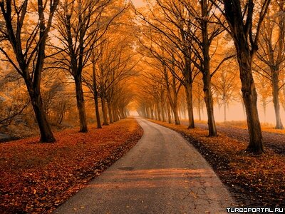 Пейзажи Ларса Ван Де Гура (Lars van de Goor)