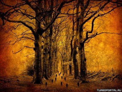 Пейзажи Ларса Ван Де Гура (Lars van de Goor)