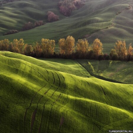 Работы фотографа Марцина Сача (Marcin Sacha)