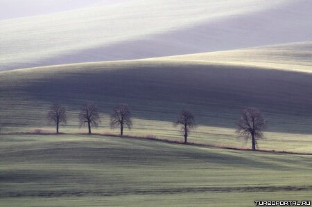 Работы фотографа Марцина Сача (Marcin Sacha)