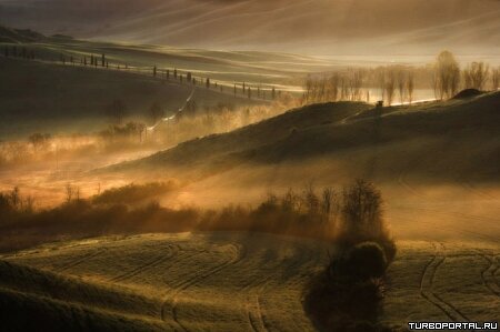 Работы фотографа Марцина Сача (Marcin Sacha)