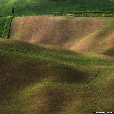 Работы фотографа Марцина Сача (Marcin Sacha)