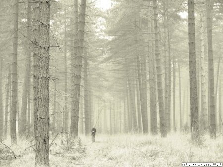 Пейзажи Ларса Ван Де Гура (Lars van de Goor)