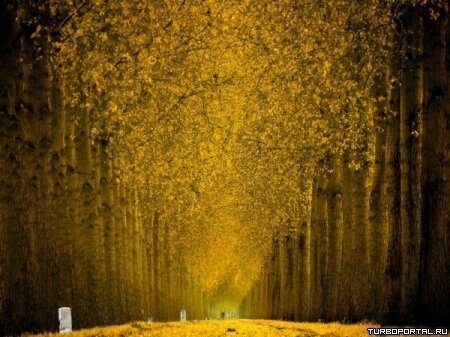 Пейзажи Ларса Ван Де Гура (Lars van de Goor)