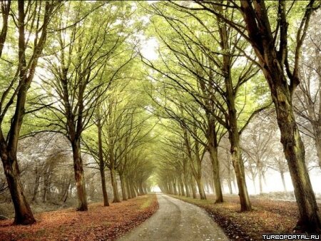 Пейзажи Ларса Ван Де Гура (Lars van de Goor)
