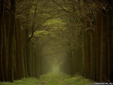 Пейзажи Ларса Ван Де Гура (Lars van de Goor)