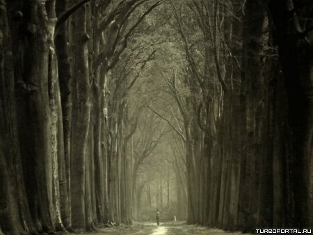 Пейзажи Ларса Ван Де Гура (Lars van de Goor)