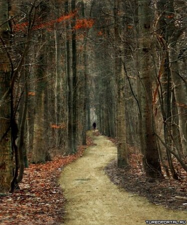 Пейзажи Ларса Ван Де Гура (Lars van de Goor)
