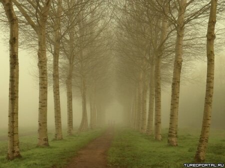 Пейзажи Ларса Ван Де Гура (Lars van de Goor)