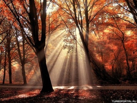 Пейзажи Ларса Ван Де Гура (Lars van de Goor)