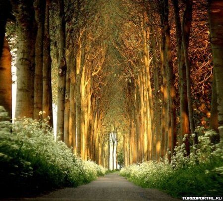Пейзажи Ларса Ван Де Гура (Lars van de Goor)