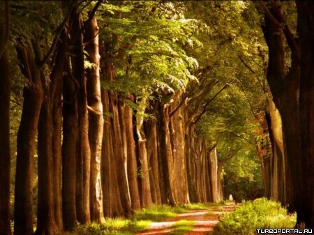 Пейзажи Ларса Ван Де Гура (Lars van de Goor)