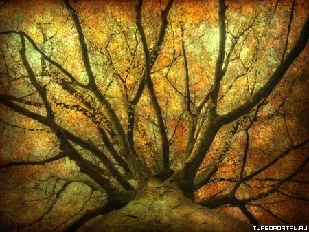 Пейзажи Ларса Ван Де Гура (Lars van de Goor)