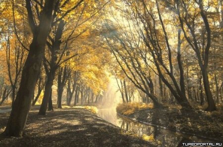 Пейзажи Ларса Ван Де Гура (Lars van de Goor)