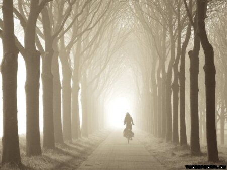 Пейзажи Ларса Ван Де Гура (Lars van de Goor)