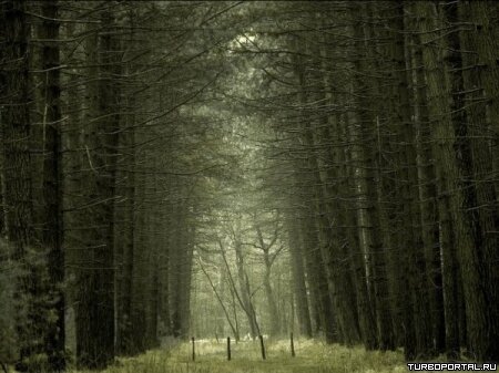 Пейзажи Ларса Ван Де Гура (Lars van de Goor)
