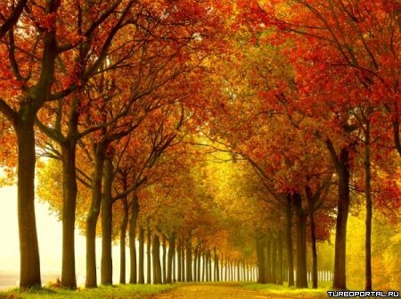 Пейзажи Ларса Ван Де Гура (Lars van de Goor)