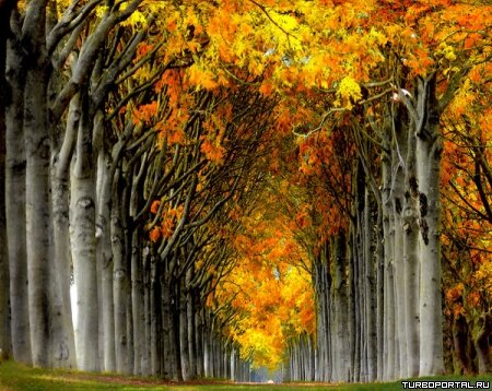 Пейзажи Ларса Ван Де Гура (Lars van de Goor)