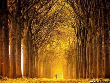Пейзажи Ларса Ван Де Гура (Lars van de Goor)