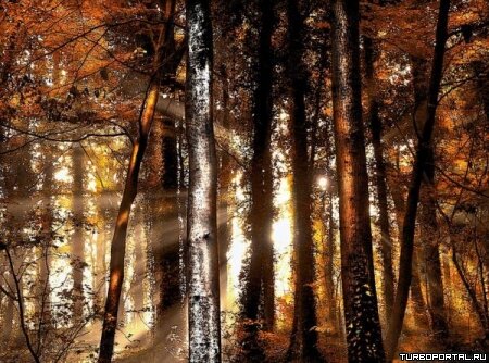 Пейзажи Ларса Ван Де Гура (Lars van de Goor)