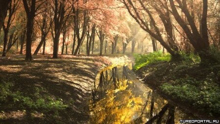 Пейзажи Ларса Ван Де Гура (Lars van de Goor)