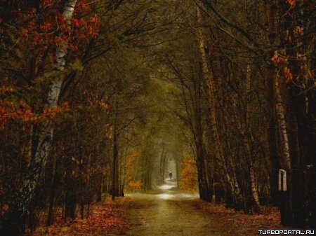 Пейзажи Ларса Ван Де Гура (Lars van de Goor)