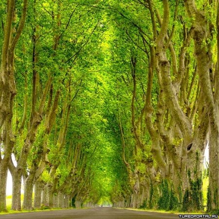 Пейзажи Ларса Ван Де Гура (Lars van de Goor)