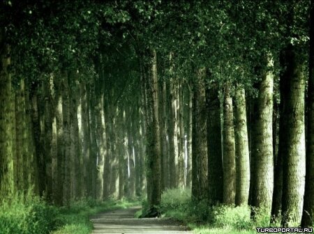 Пейзажи Ларса Ван Де Гура (Lars van de Goor)