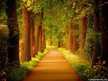 Пейзажи Ларса Ван Де Гура (Lars van de Goor)