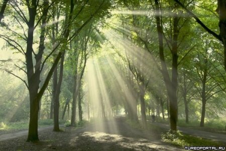 Пейзажи Ларса Ван Де Гура (Lars van de Goor)