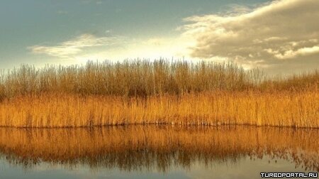 Пейзажи Ларса Ван Де Гура (Lars van de Goor)