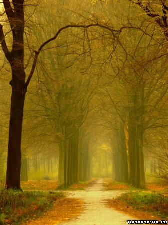 Пейзажи Ларса Ван Де Гура (Lars van de Goor)