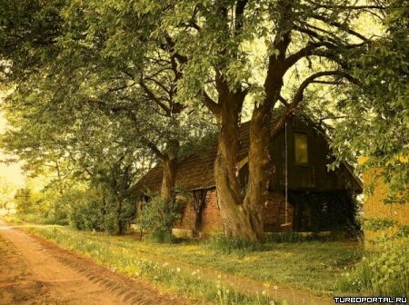 Пейзажи Ларса Ван Де Гура (Lars van de Goor)