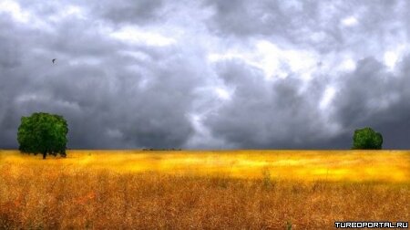 Пейзажи Ларса Ван Де Гура (Lars van de Goor)