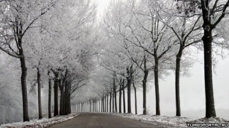 Пейзажи Ларса Ван Де Гура (Lars van de Goor)