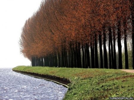 Пейзажи Ларса Ван Де Гура (Lars van de Goor)