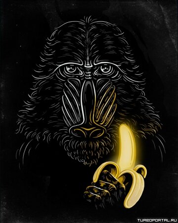 Artwork by Enkel Dika