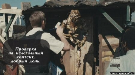 Район /b/
