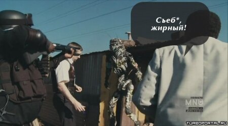 Район /b/