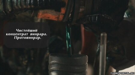 Район /b/