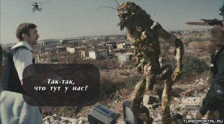 Район /b/