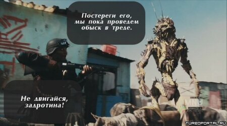 Район /b/