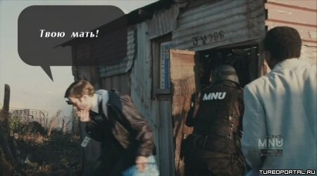 Район /b/