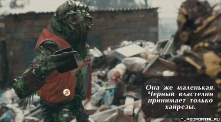 Район /b/