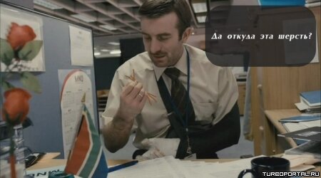 Район /b/