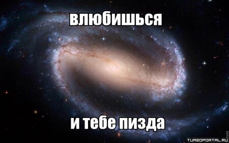 Влюбишься и тебе пизда