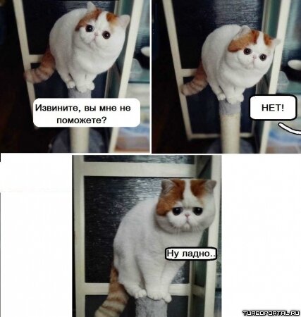 Извините, вы мне не поможете? Нет! Ну ладно.